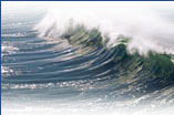 Stop Water Pollution